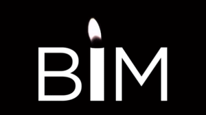 BIM Candle Mask
